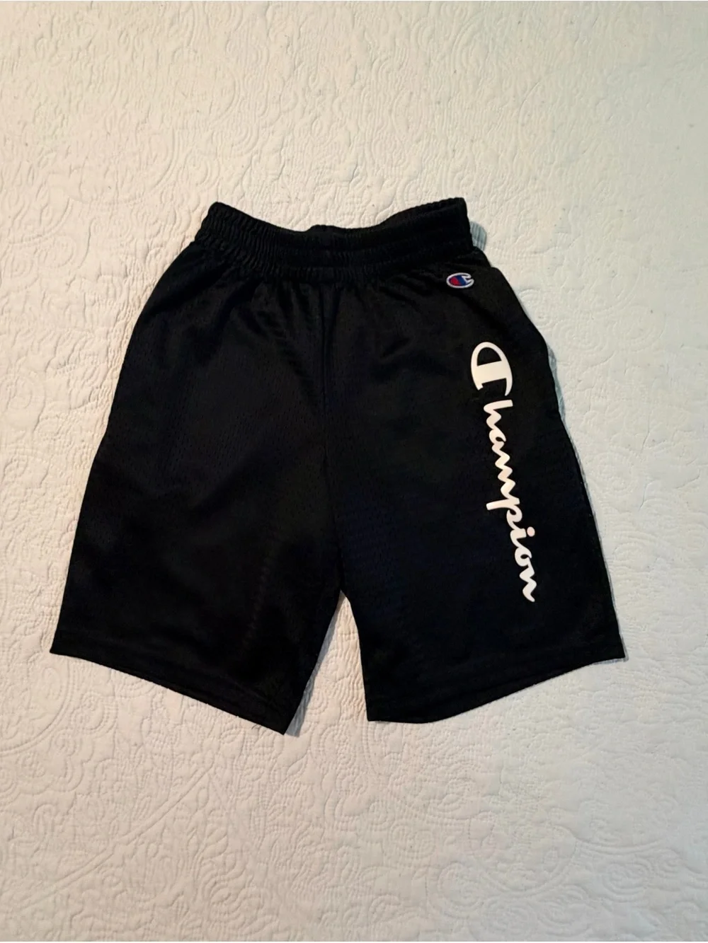 Champion Mesh Shorts | Size S | Black Script Logo Basketball Shorts